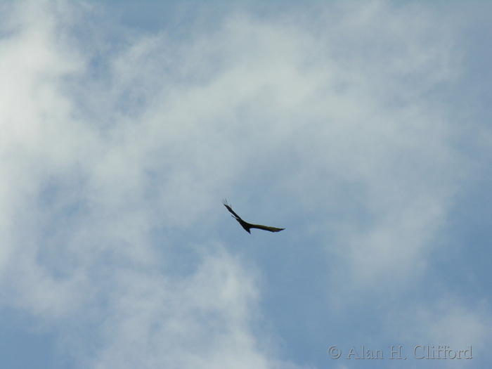 dscn1291.jpg