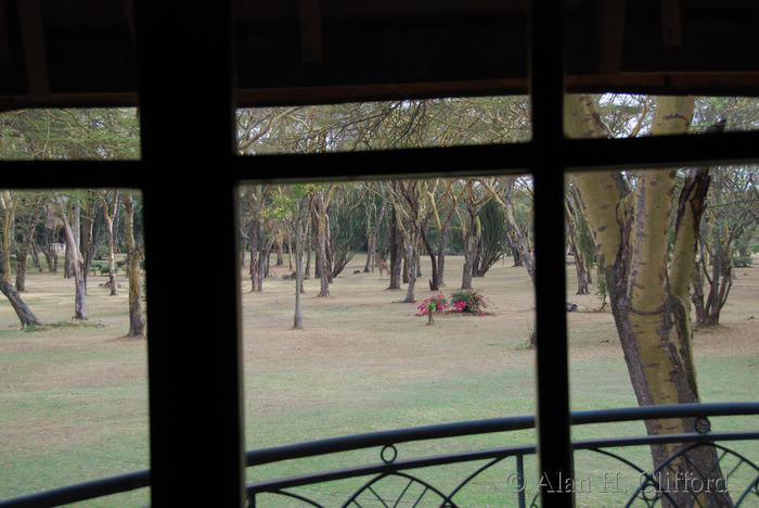 dsc_1260.jpg