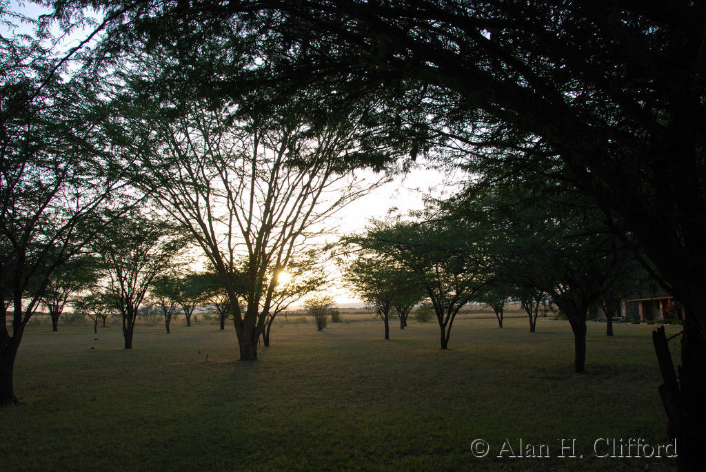 a photo