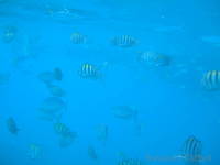 dscf1304.jpg