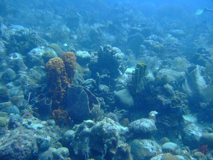 dscf1404.jpg