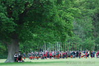 dsc_3185.jpg