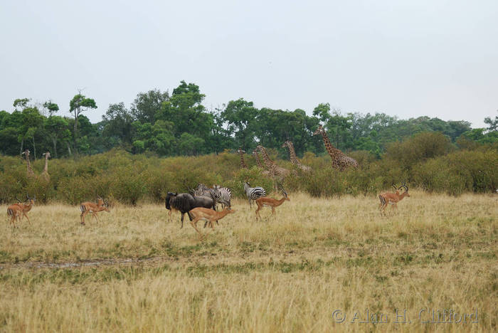 dsc_3810.jpg