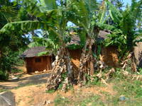 dscf1229.jpg