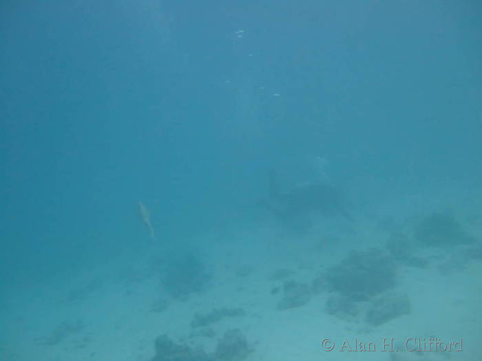 dscf1094.jpg