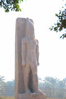 dsc_5843.jpg