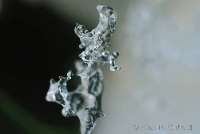dsc_5540.jpg