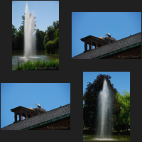 Parc de l&rsquo;Orangerie, Strasbourg