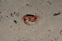 ahc_2571.jpg