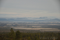 ahc_3341.jpg