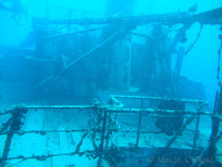 Scuba Diving