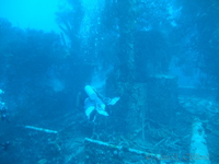 f200_4443.jpg