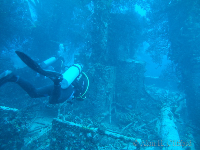 f200_4444.jpg