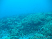 f200_4454.jpg