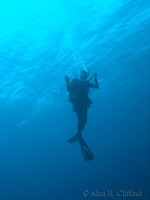 f200_4500.jpg