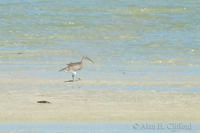 x-s1_3799.jpg