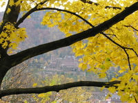 Heidelberg Castle viewed from the Philosophers&rsquo; Walk