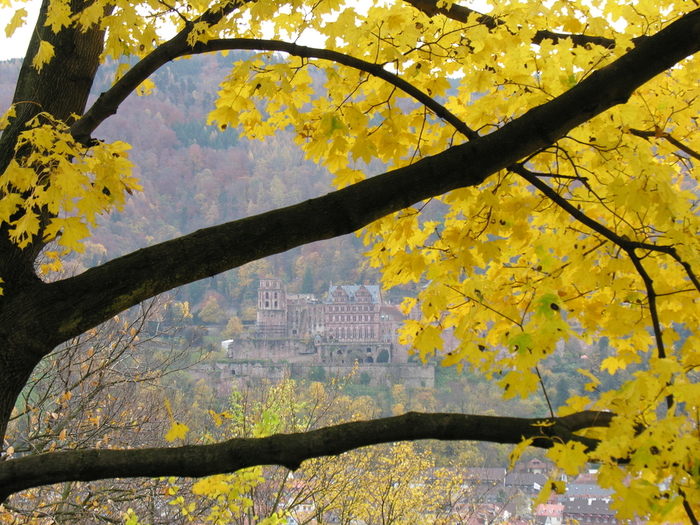Heidelberg Castle viewed from the Philosophers&rsquo; Walk